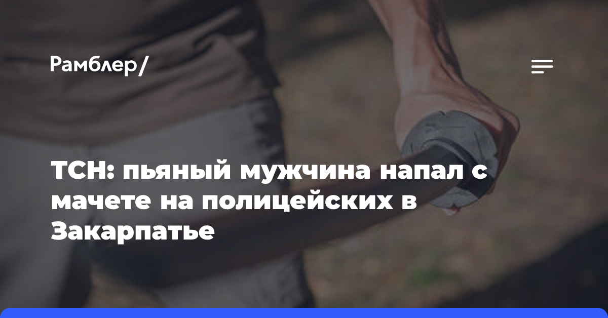 ТСН: пьяный мужчина напал с мачете на полицейских в Закарпатье