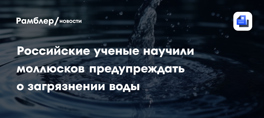 Российские ученые научили моллюсков предупреждать о загрязнении воды