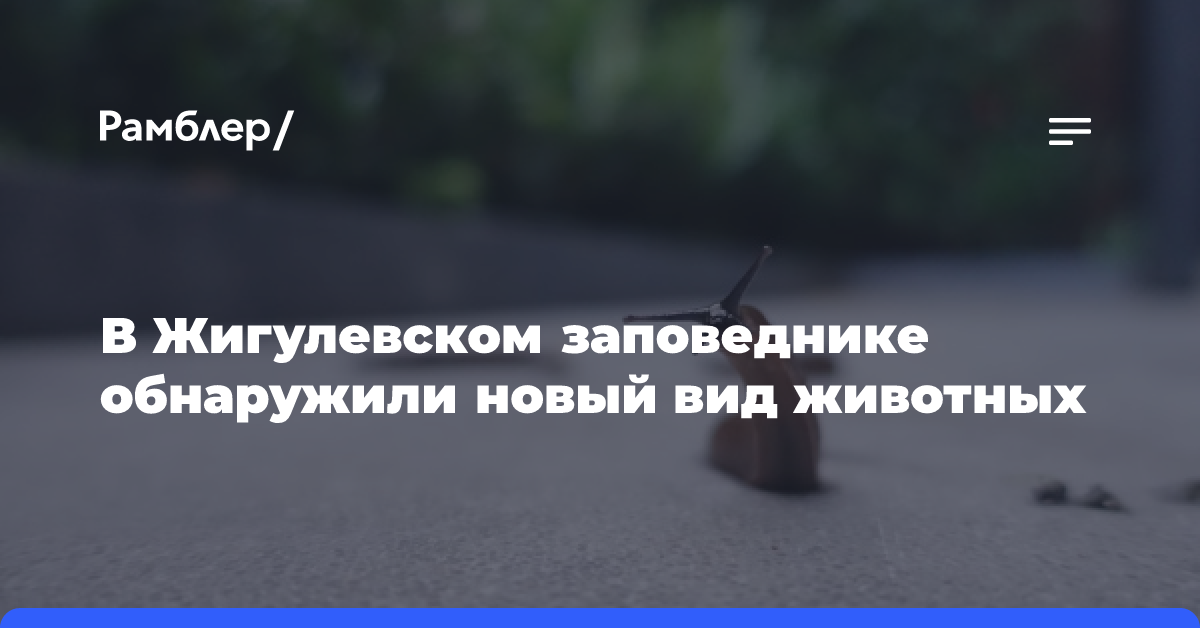 В Жигулевском заповеднике обнаружили новый вид животных