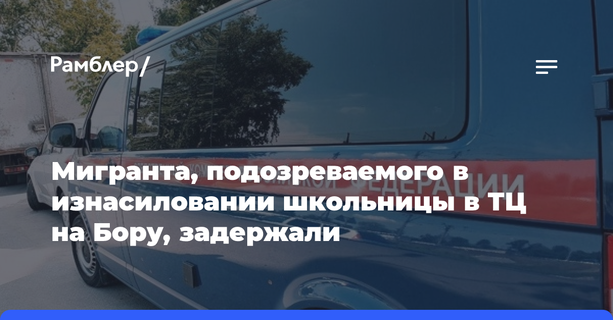 Бастрыкин заинтересовался мигрантом, пристававшим к девочке в ТЦ на Бору