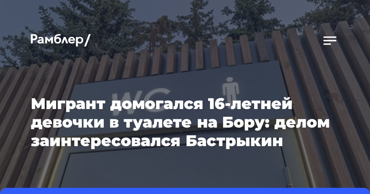 Мигрант домогался 16-летней девочки в туалете на Бору: делом заинтересовался Бастрыкин