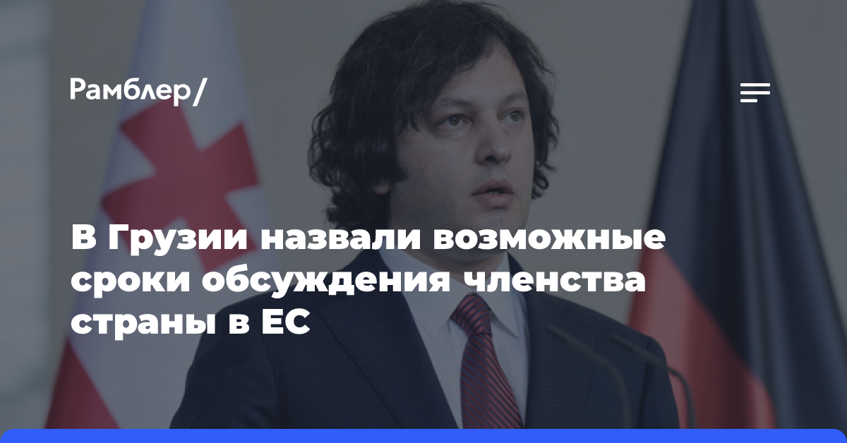 В Грузии назвали возможные сроки обсуждения членства страны в ЕС