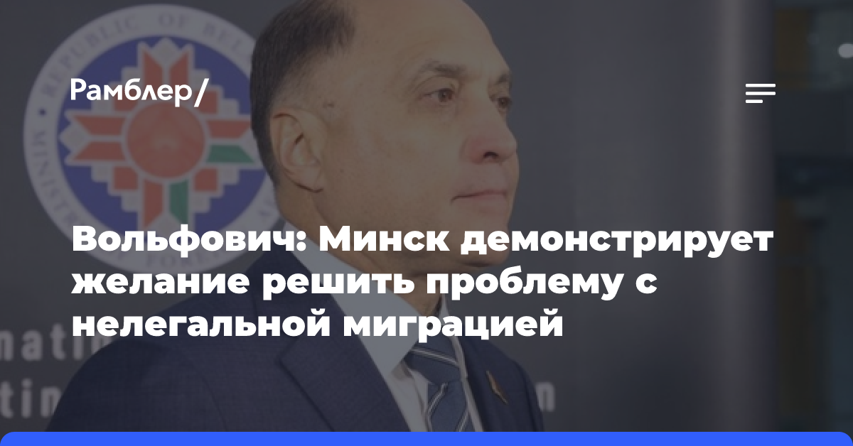 Вольфович: Минск демонстрирует желание решить проблему с нелегальной миграцией