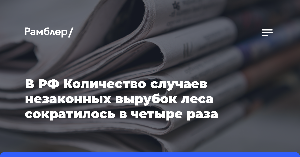 В РФ Количество случаев незаконных вырубок леса сократилось в четыре раза