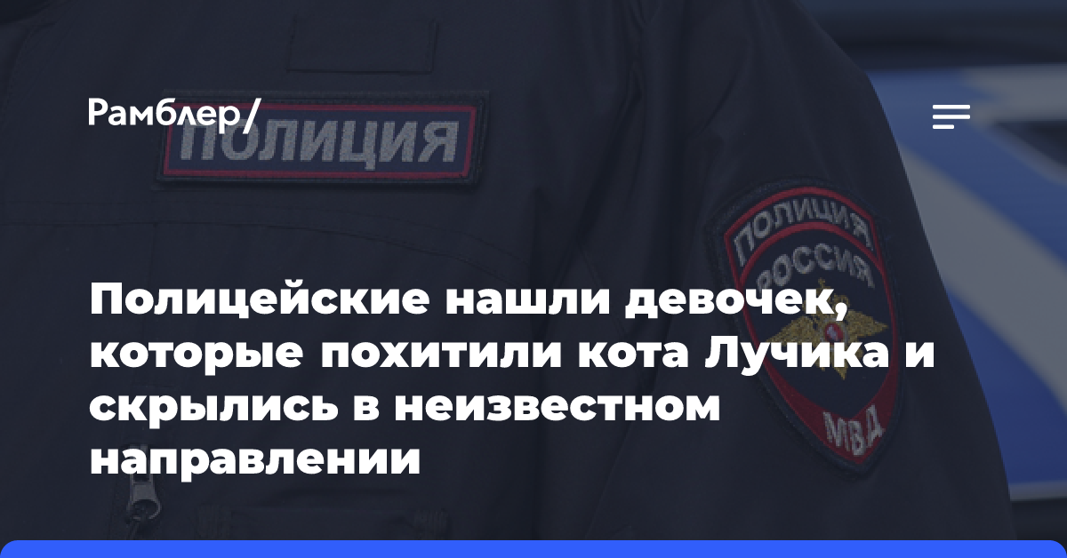 Ирина Волк: Полицейские нашли девочек, которые похитили кота Лучика и скрылись в неизвестном направлении