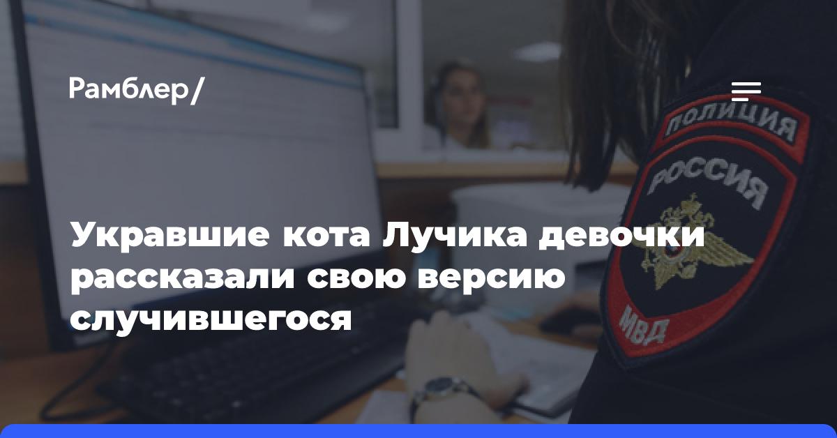 Укравшие кота Лучика девочки рассказали свою версию случившегося