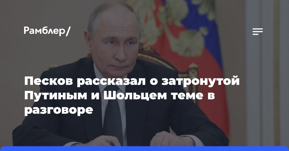 Песков рассказал о затронутой Путиным и Шольцем теме в разговоре