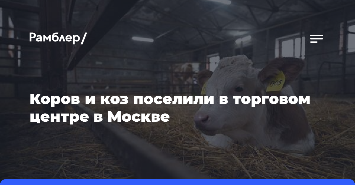 Коров и коз поселили в торговом центре в Москве