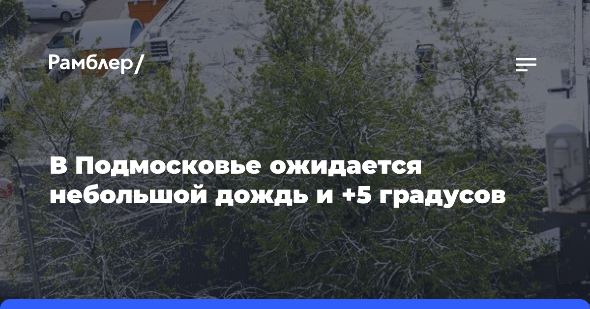 В Подмосковье ожидается небольшой дождь и +5 градусов