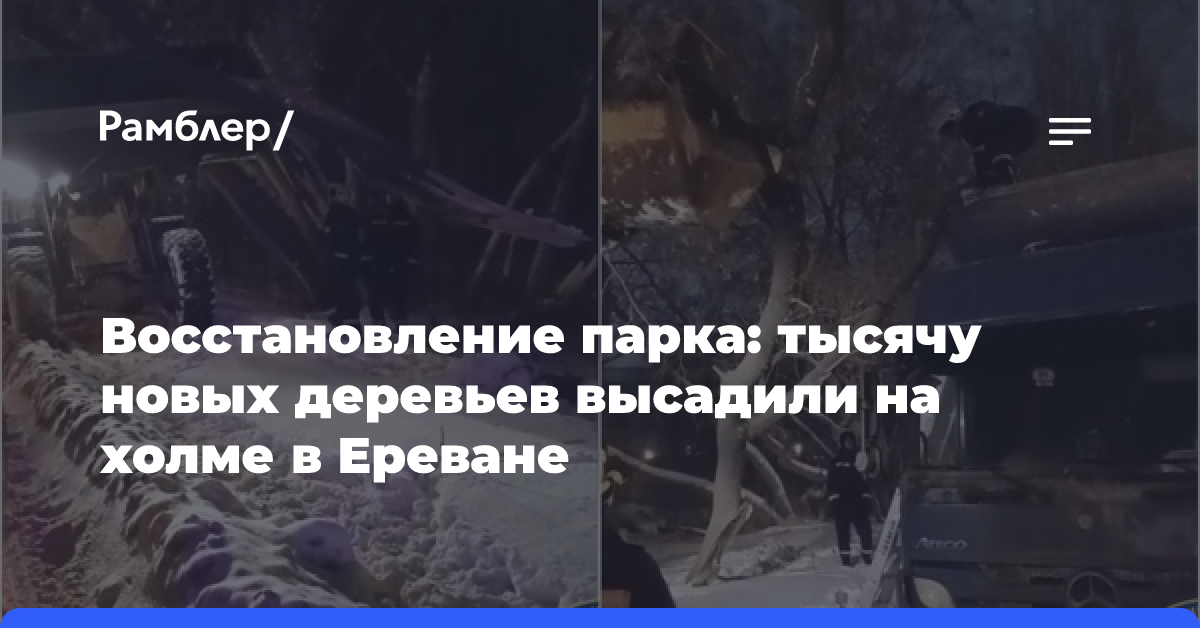 Восстановление парка: тысячу новых деревьев высадили на холме в Ереване