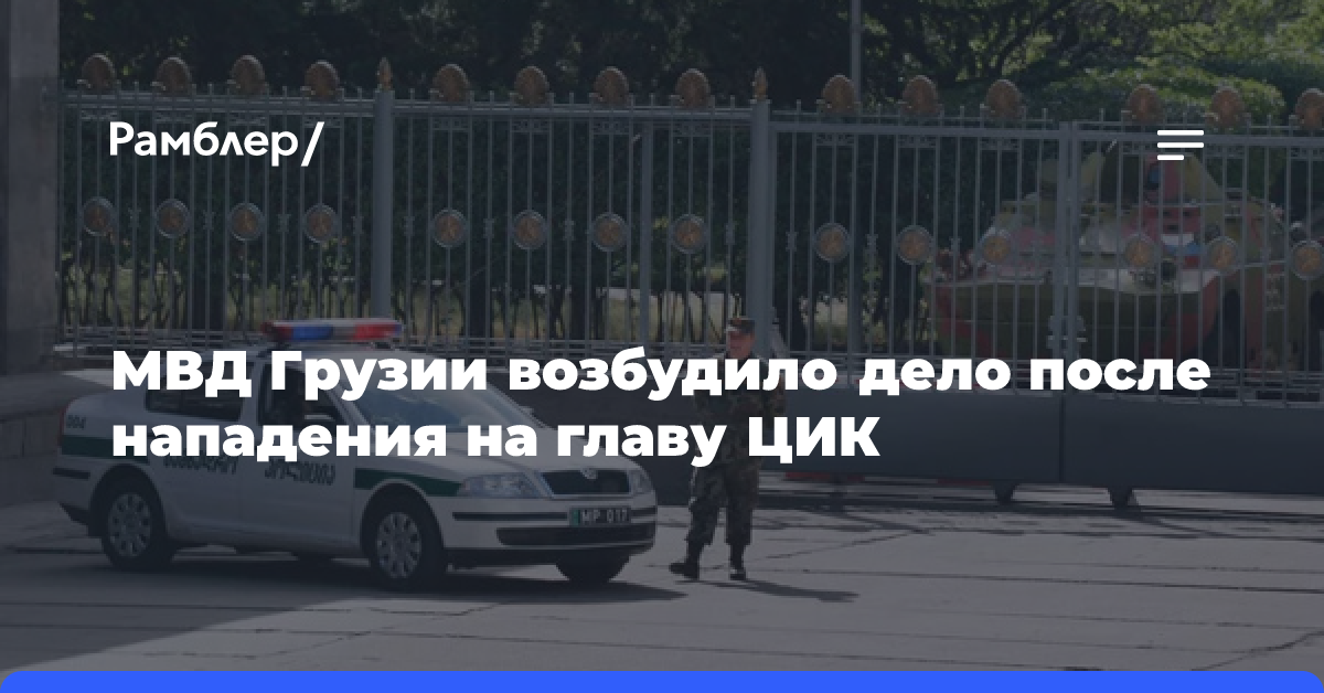 МВД Грузии возбудило дело после нападения на главу ЦИК