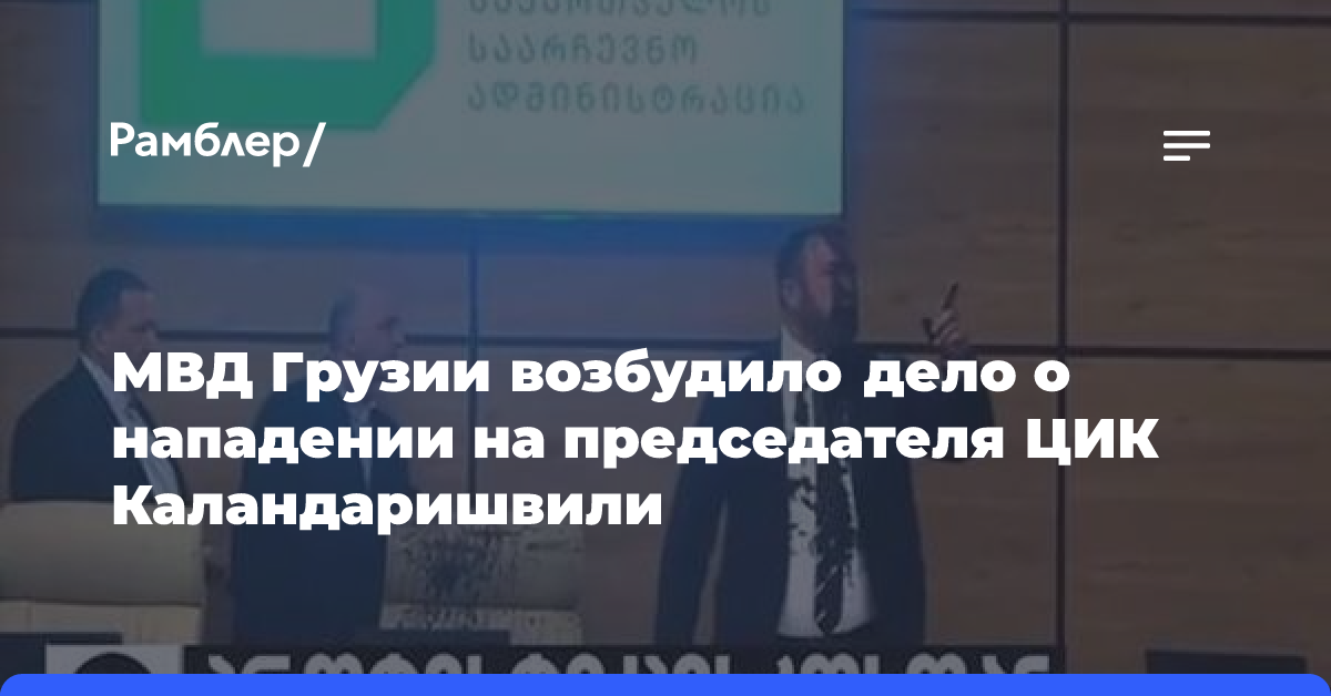 МВД Грузии завело уголовное дело о нападении на председателя ЦИК Каландаришвили