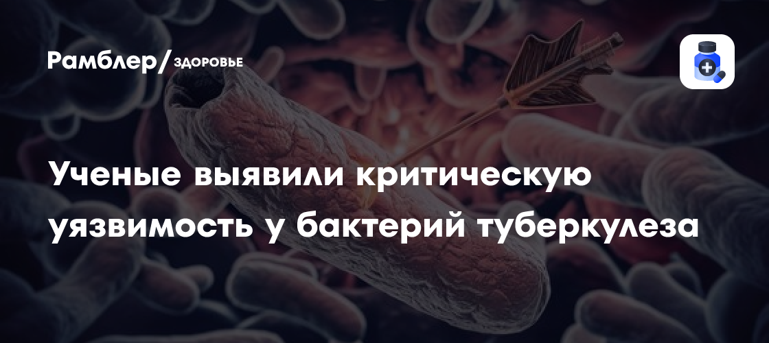 Ученые открыли слабое место устойчивых к лекарствам бактерий туберкулеза