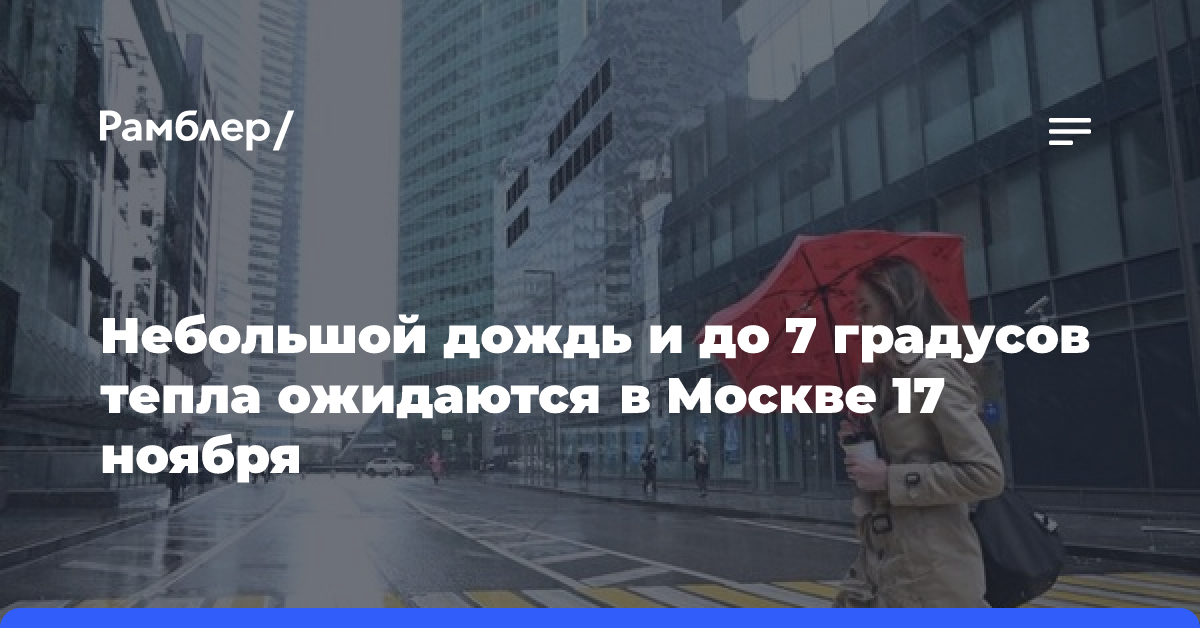 Небольшой дождь и до 7 градусов тепла ожидаются в Москве 17 ноября