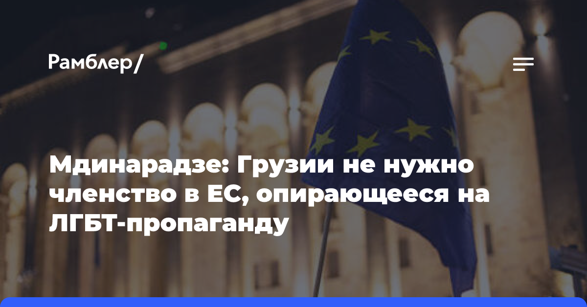 Мдинарадзе: Грузии не нужно членство в ЕС, опирающееся на ЛГБТ-пропаганду