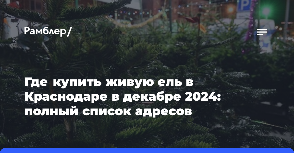 Где купить живую ель в Краснодаре в декабре 2024: полный список адресов