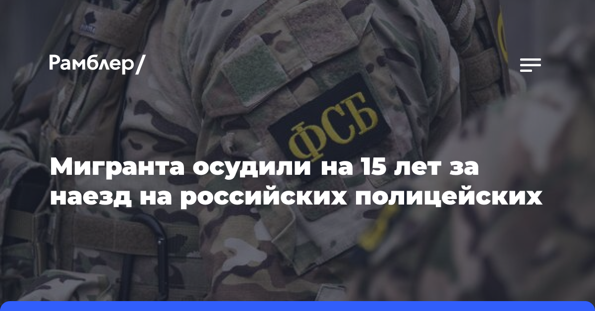 Мигранта осудили на 15 лет за наезд на российских полицейских