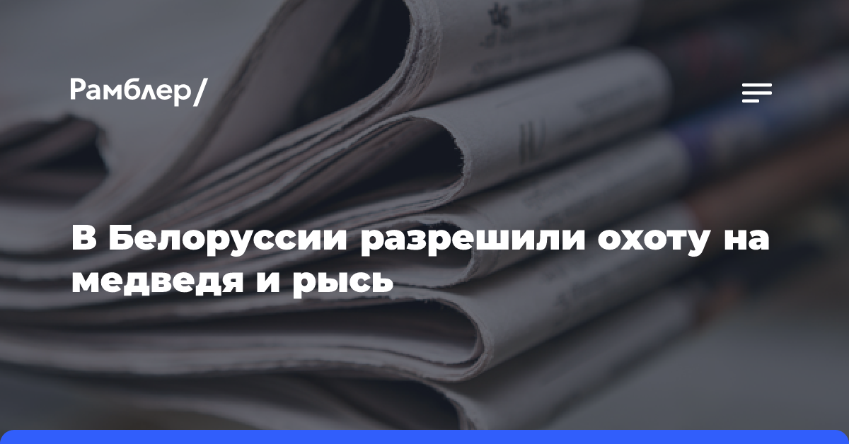 В Белоруссии разрешили охоту на медведя и рысь