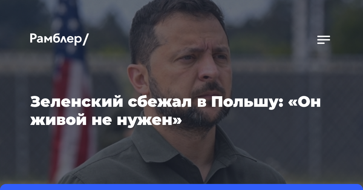 Зеленский сбежал в Польшу: «Он живой не нужен»