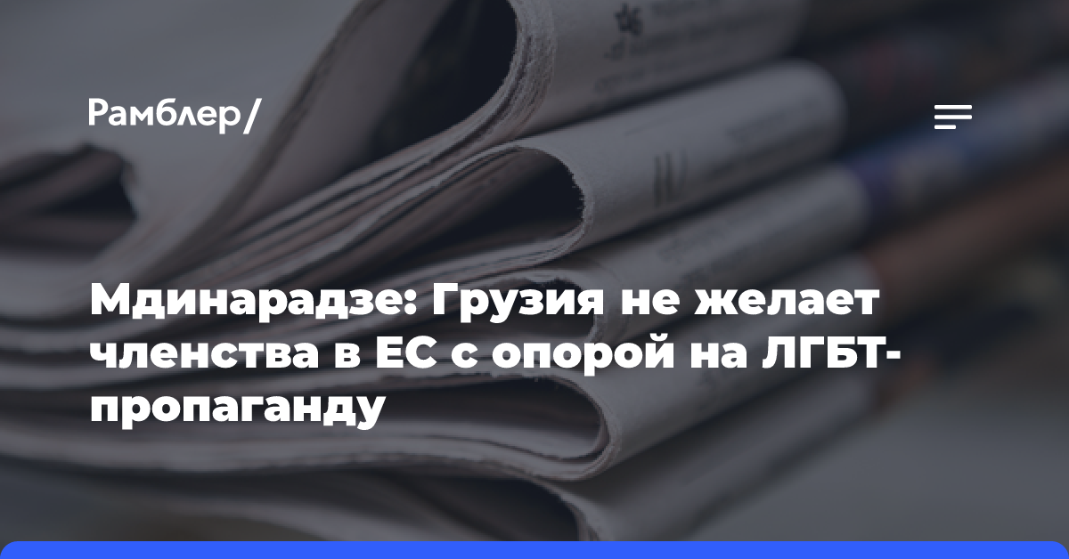 Мдинарадзе: Грузия не желает членства в ЕС с опорой на ЛГБТ-пропаганду