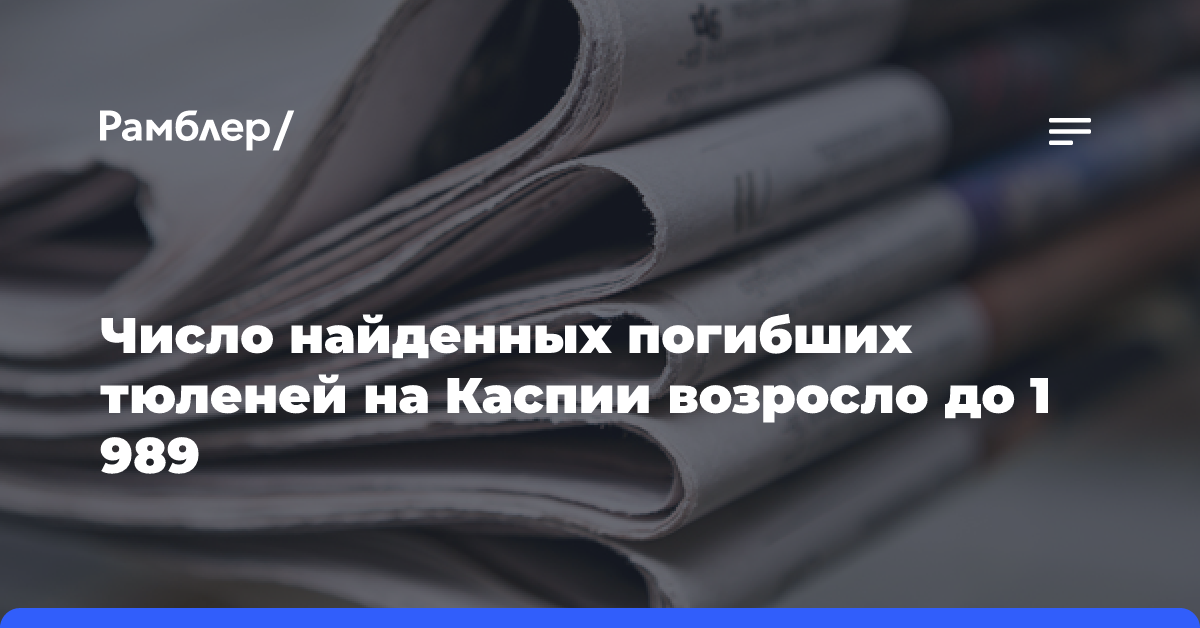 Число найденных погибших тюленей на Каспии возросло до 1 989