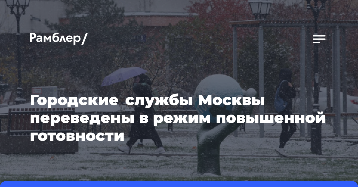 Городские службы Москвы переведены в режим повышенной готовности из-за непогоды