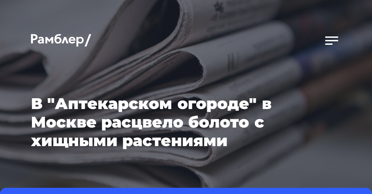 В «Аптекарском огороде» в Москве расцвело болото с хищными растениями