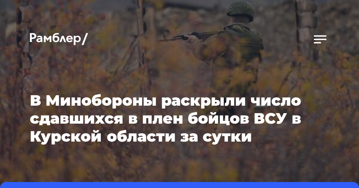 В Минобороны раскрыли число сдавшихся в плен бойцов ВСУ в Курской области за сутки