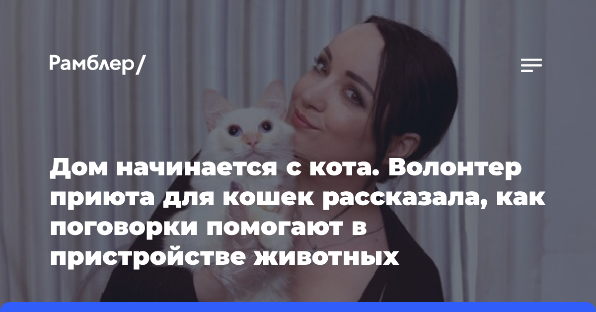 Дом начинается с кота. Волонтер приюта для кошек рассказала, как поговорки помогают в пристройстве животных