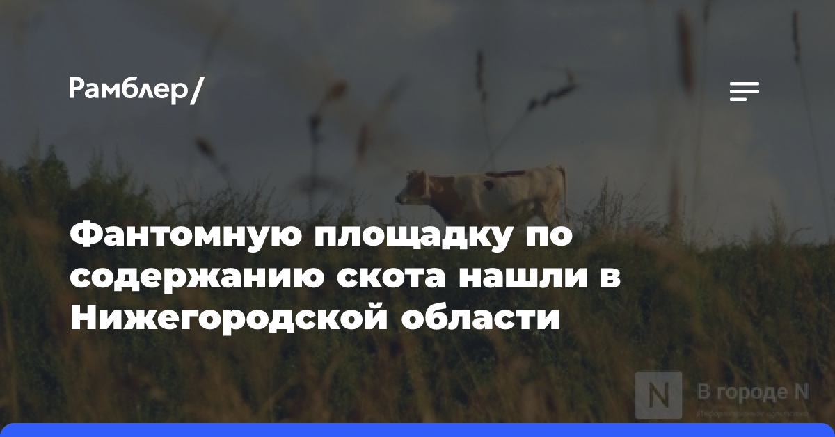 Фантомную площадку по содержанию скота нашли в Нижегородской области