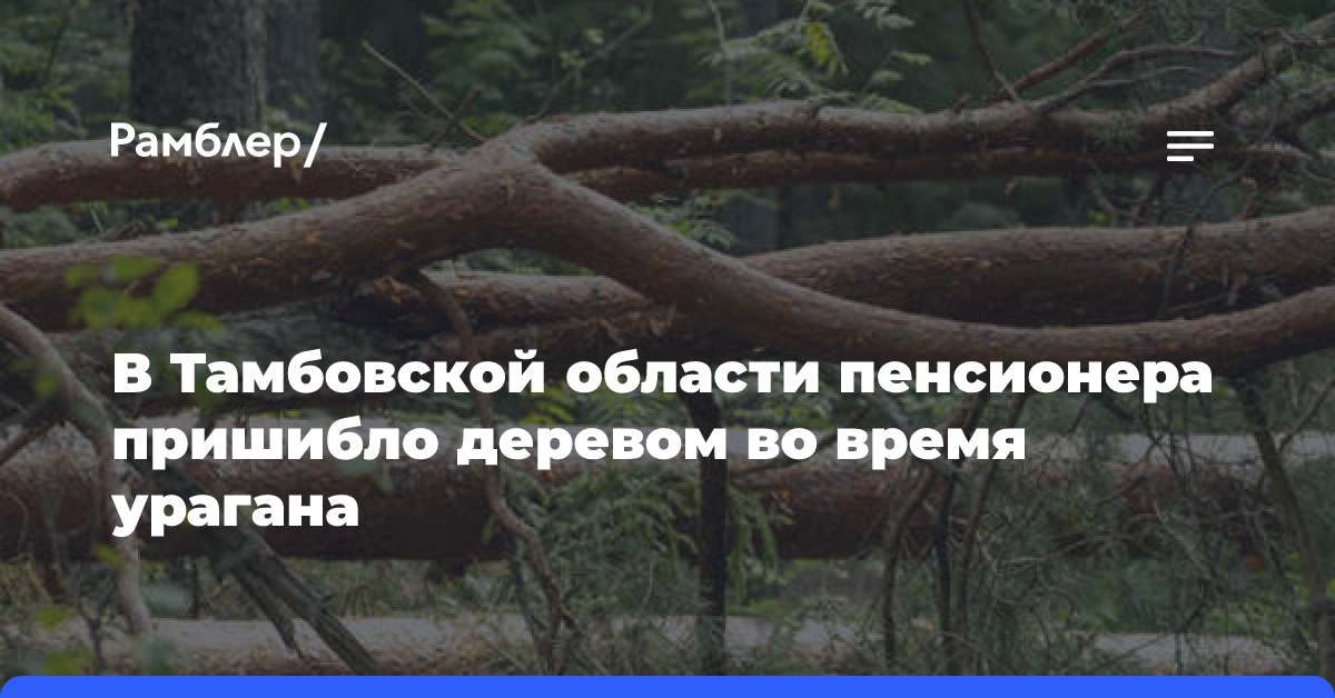 В Тамбовской области пенсионера пришибло деревом во время урагана