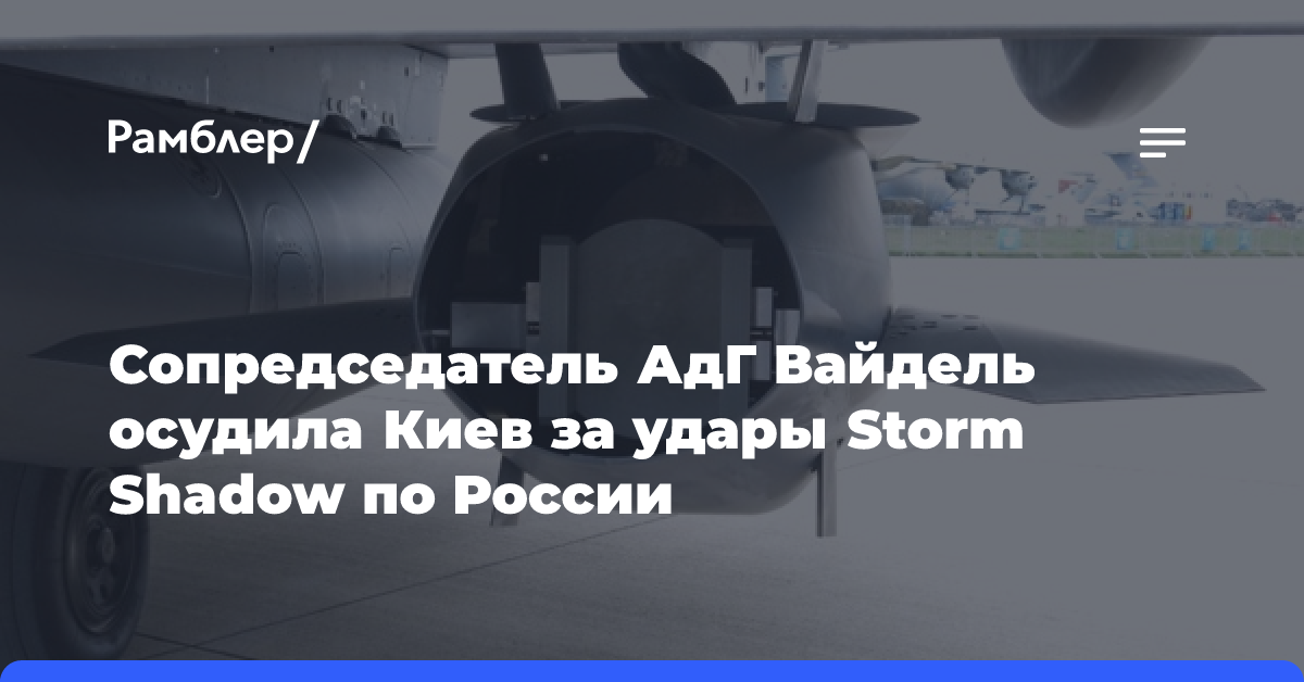 Сопредседатель АдГ Вайдель осудила Киев за удары Storm Shadow по России