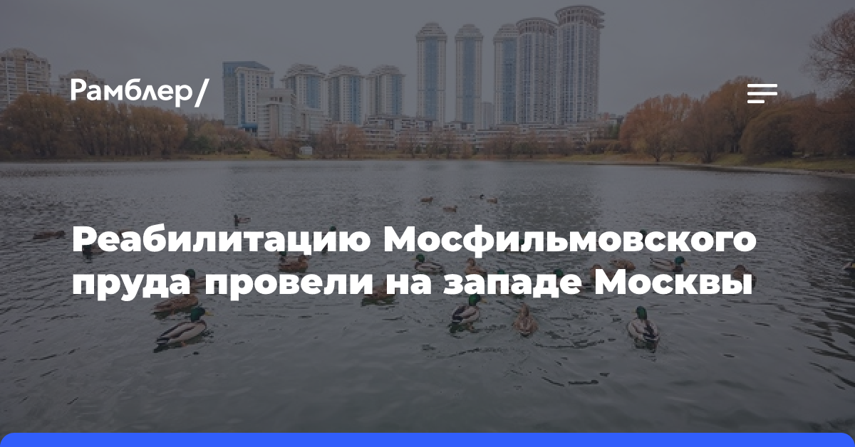 Реабилитацию Мосфильмовского пруда провели на западе Москвы