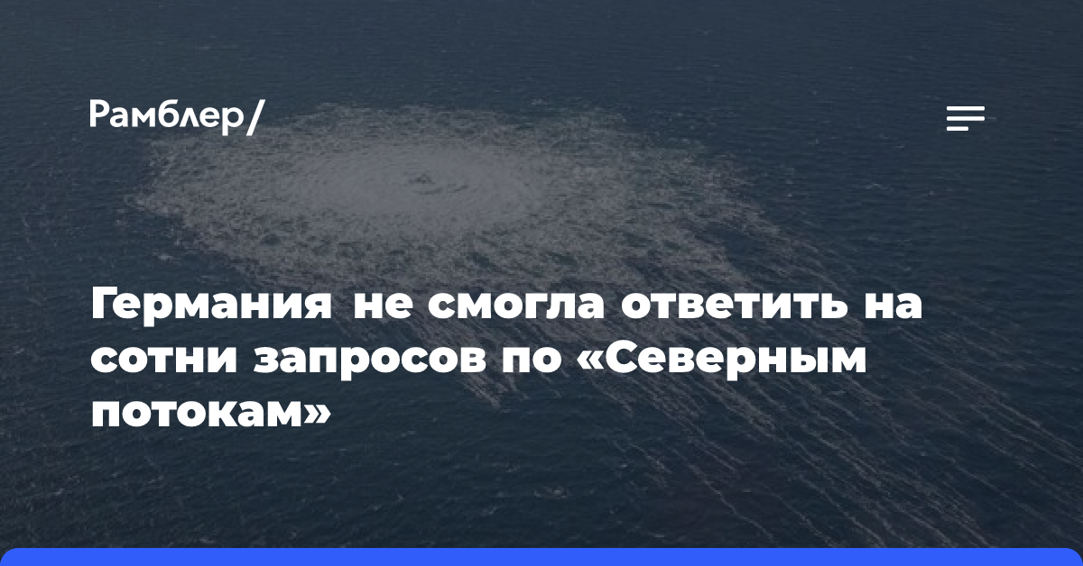 Депутат Шмидт: ФРГ не ответила на более чем 300 запросов по «Северным потокам»