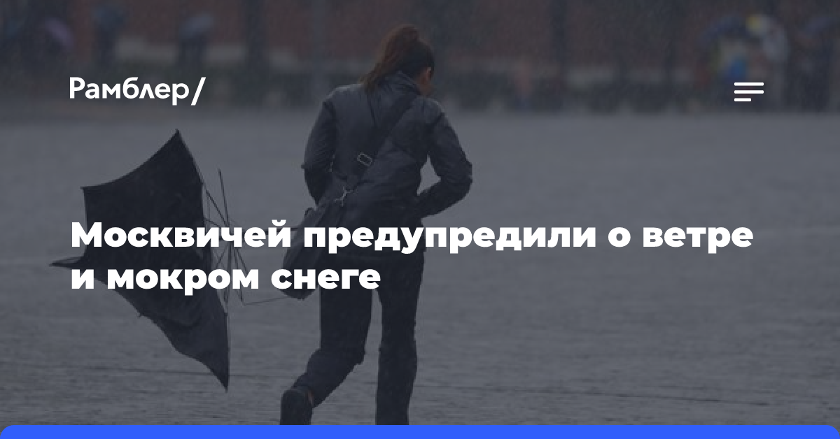 Москвичей предупредили о ветре и мокром снеге