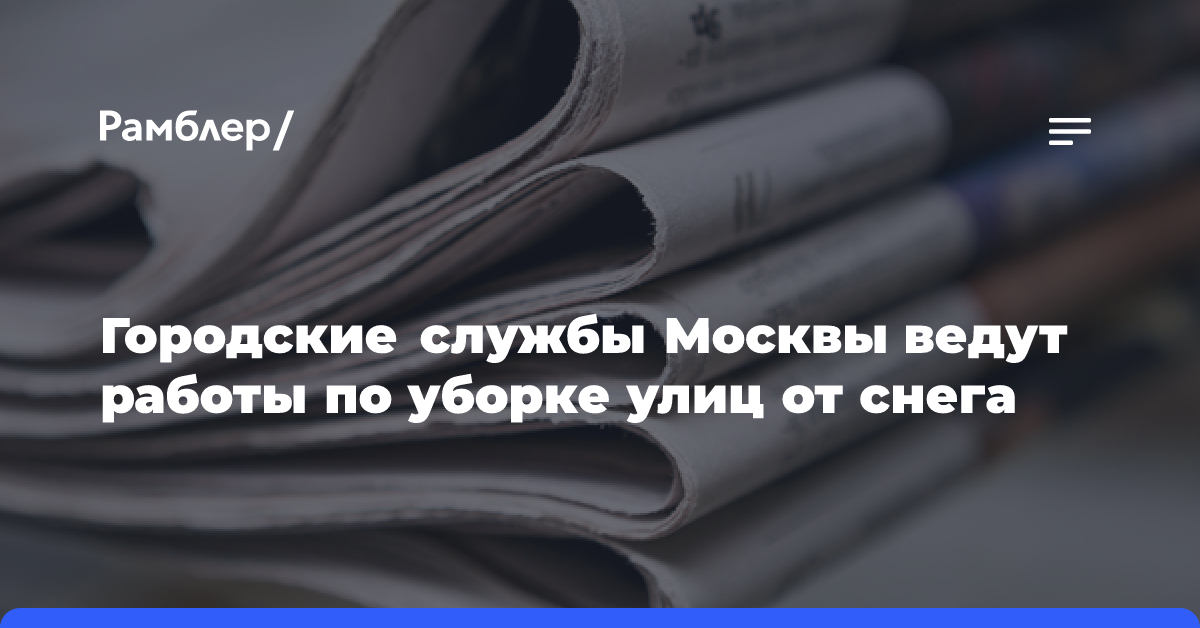 В Липецке городские службы перевели на особый режим работы из-за непогоды