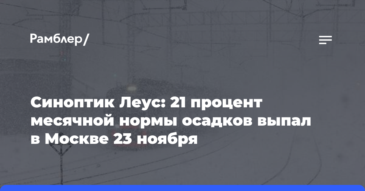 Синоптик Леус: 21 процент месячной нормы осадков выпал в Москве 23 ноября