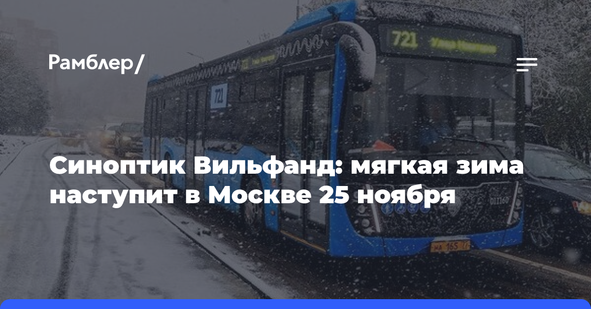 Синоптик Вильфанд: мягкая зима наступит в Москве 25 ноября