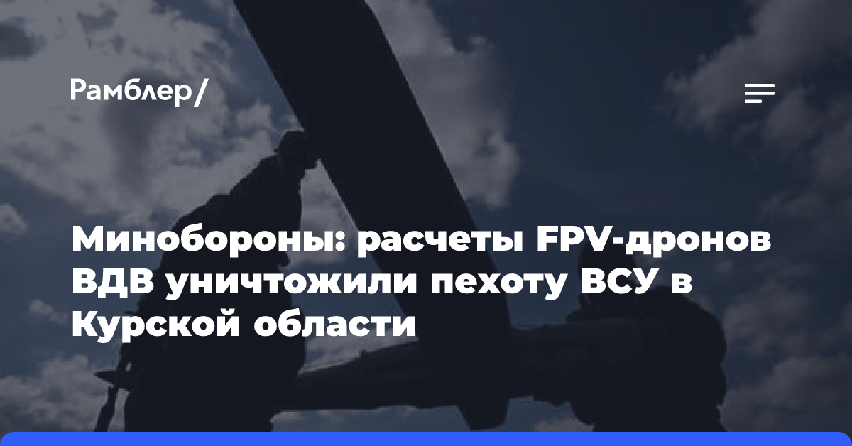 Минобороны: расчеты FPV-дронов ВДВ уничтожили пехоту ВСУ в Курской области