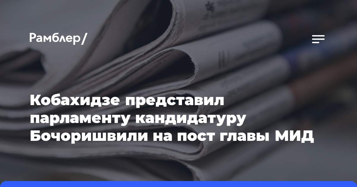 Кобахидзе представил парламенту кандидатуру Бочоришвили на пост главы МИД