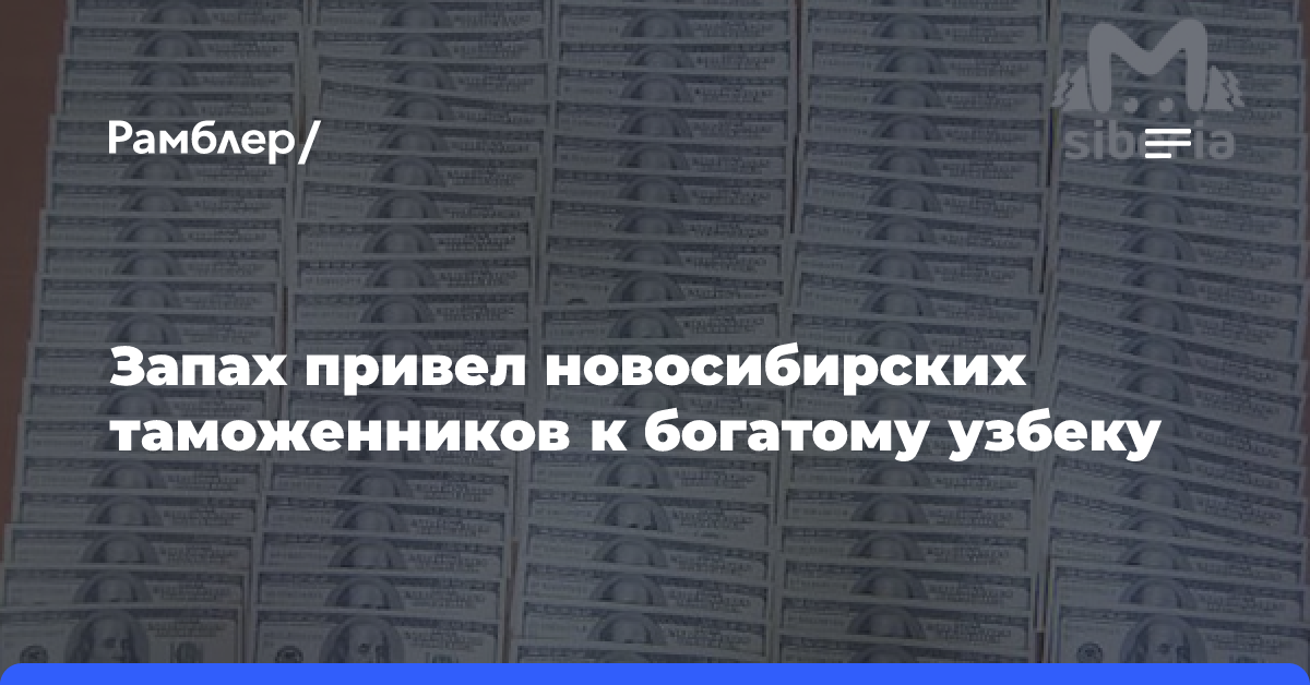 Запах привел новосибирских таможенников к богатому узбеку