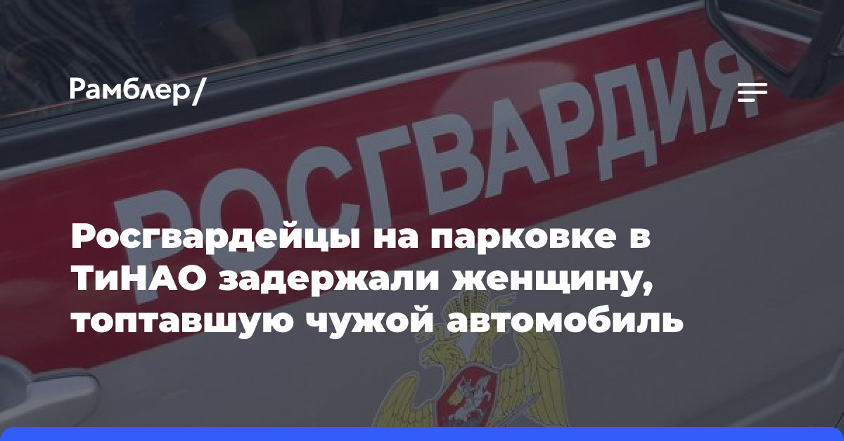 Росгвардейцы на парковке в ТиНАО задержали женщину, топтавшую чужой автомобиль