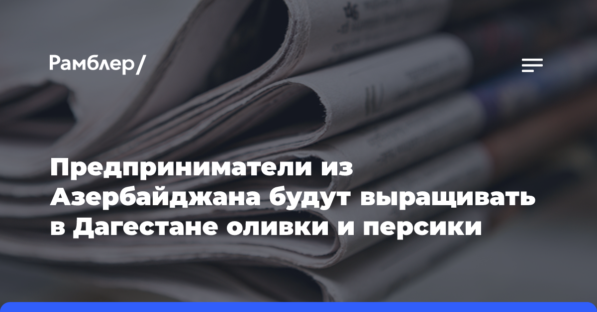 Предприниматели из Азербайджана будут выращивать в Дагестане оливки и персики