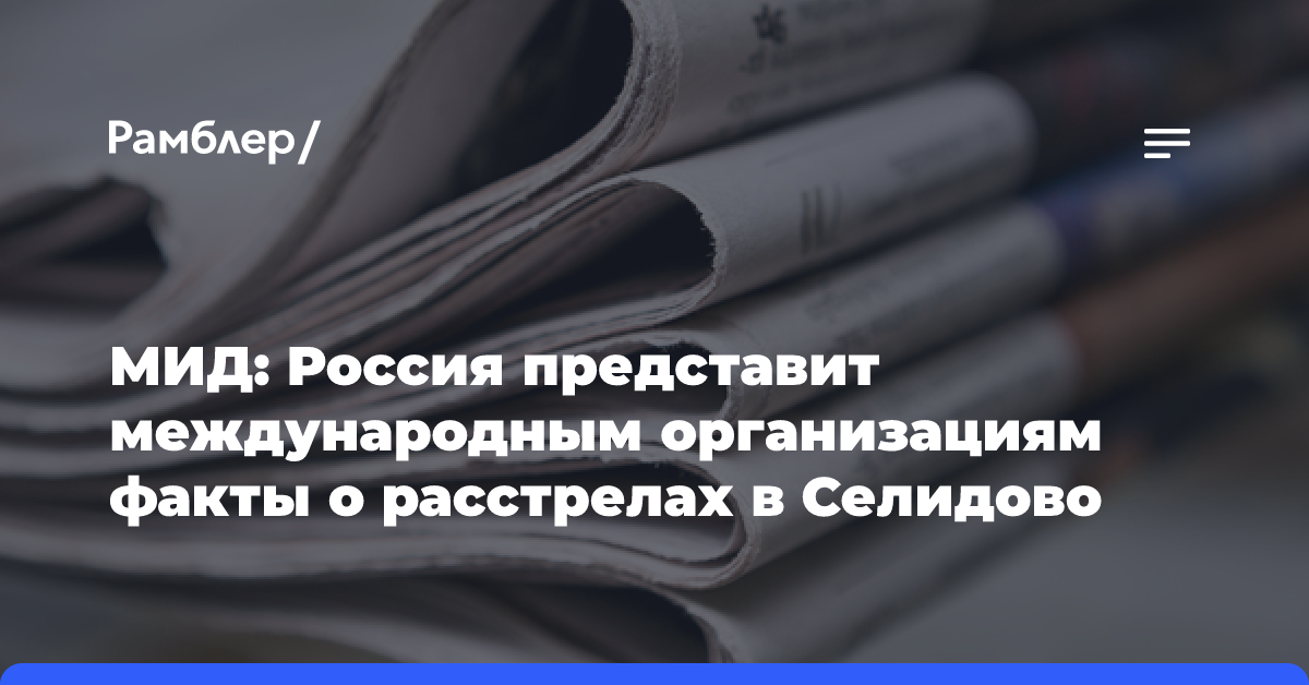 МИД: Россия представит международным организациям факты о расстрелах в Селидово