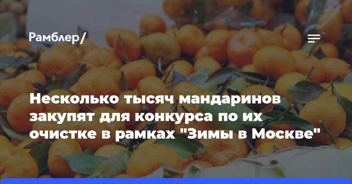 Несколько тысяч мандаринов закупят для конкурса по их очистке в рамках «Зимы в Москве»