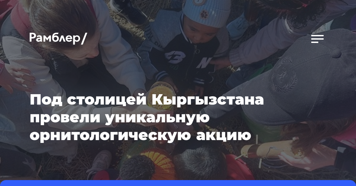 Под столицей Кыргызстана провели уникальную орнитологическую акцию