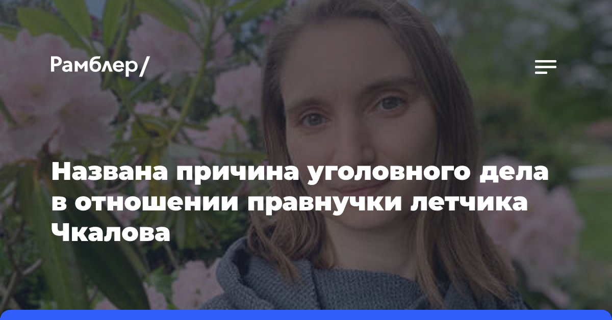 Причиной уголовного дела правнучки Чкалова стало ее интервью журналисту Кашину