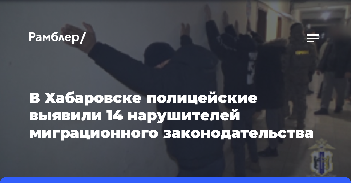 В Хабаровске полицейские выявили 14 нарушителей миграционного законодательства