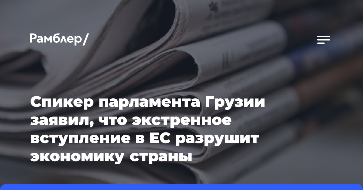 Спикер парламента Грузии заявил, что экстренное вступление в ЕС разрушит экономику страны