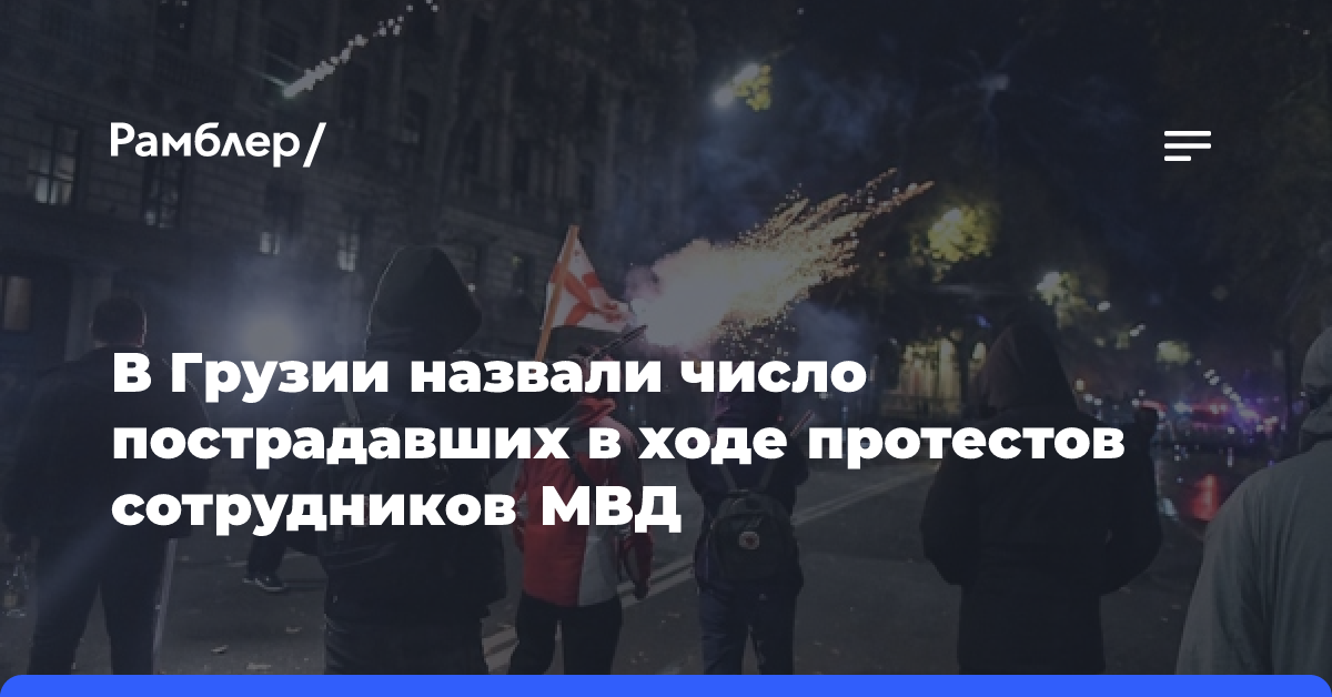 В Грузии назвали число пострадавших в ходе протестов сотрудников МВД